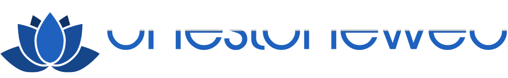 One Stone Conference Logo
